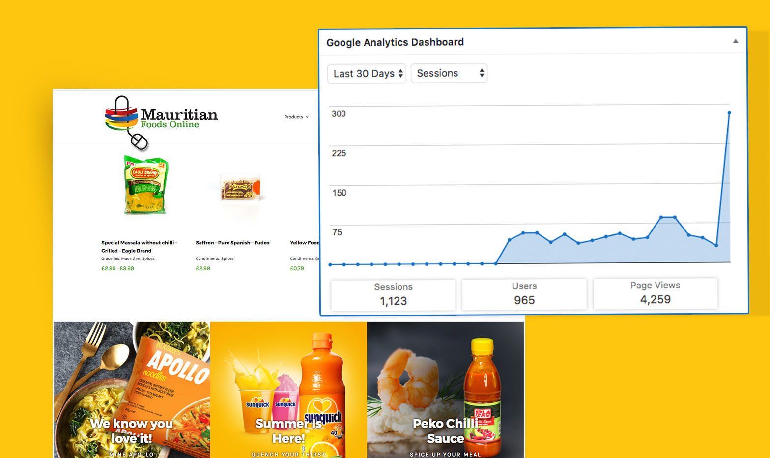 Mauritian Foods Online - Analytics